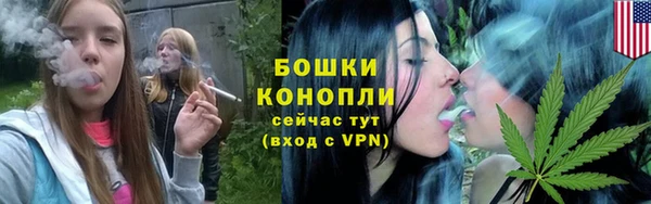 гидропоника Богданович