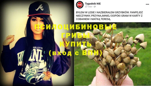 mix Елизово