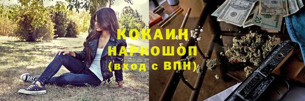 гидропоника Богданович