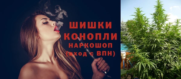 гидропоника Богданович