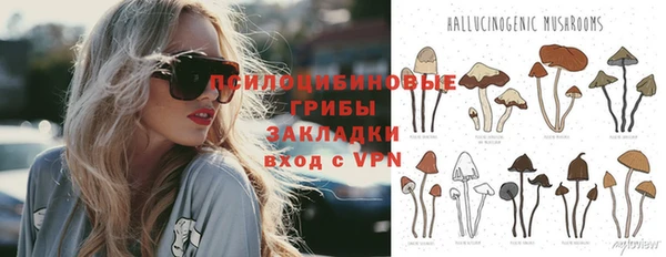 мяу мяу мука Белокуриха