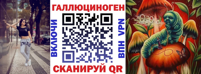 MEGA tor  Гусев  Псилоцибиновые грибы MAGIC MUSHROOMS 