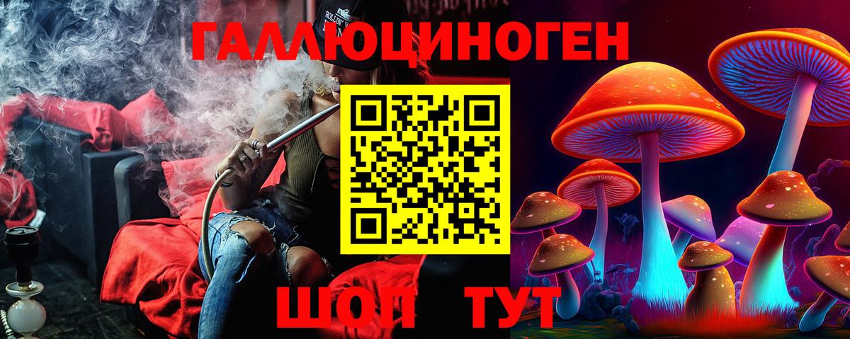 продажа наркотиков  Галлюциногенные грибы Psilocybine cubensis  Вход с VPN  Гусев 